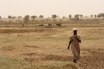 Crise alimentaire en Mauritanie : "Une situation grave face à laquelle l'état ne fait rien" Crise alimentaire en Mauritanie : "Une situation grave face à laquelle l'état ne fait rien"