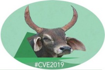 Communiqué CVE : Facteurs de ressentiment Communiqué CVE : Facteurs de ressentiment