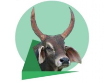 Mauritanie: CVE communiqué sur la pandémie du Coronavirus Mauritanie: CVE communiqué sur la pandémie du Coronavirus