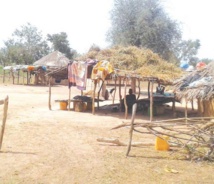 Mauritanie : les réfugiés réactivent la demande de leur retour Mauritanie : les réfugiés réactivent la demande de leur retour