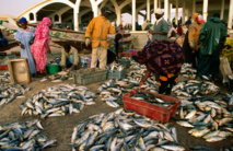 Stock de sécurité de 10.000 tonnes de poissons face aux effets du COVID-19