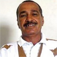 « La Mauritanie n’a pas besoin d’un gouvernement d’union nationale » dit Ould Haiba