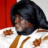 Mauritanie : Un opposant dénonce une campagne électorale