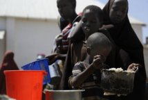 Journée mondiale de l'alimentation: 870 millions d'affamés, 1,5 milliard de mal nourris