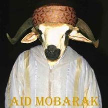 boolumbal.org:NJUULEE MBO WUURI!(Bonne et joyeuse fête de l'aïd el Kabîr ) boolumbal.org:NJUULEE MBO WUURI!(Bonne et joyeuse fête de l'aïd el Kabîr )