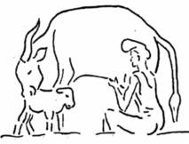 La rencontre de Taputal pulaaku : La communauté des peulhs appelle à la paix