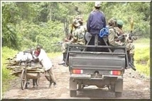 Au moins cinq morts dans une attaque rebelle en Casamance. Au moins cinq morts dans une attaque rebelle en Casamance.