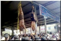 Égypte: deux hommes meurent, pendus par les pieds