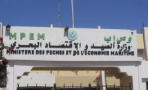 Mauritanie : 180 milliards MRO, revenus de la pêche dans la zone exclusive Mauritanie : 180 milliards MRO, revenus de la pêche dans la zone exclusive