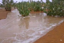 Mauritanie : de faibles précipitations dans l’est du pays
