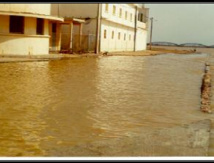 L’OMVS avertit des risques d’inondations dans la vallée du fleuve Sénégal L’OMVS avertit des risques d’inondations dans la vallée du fleuve Sénégal