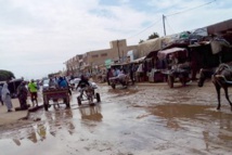 Rosso: le ras-le-bol des habitants face au manque de moyens pour évacuer les eaux de pluies Rosso: le ras-le-bol des habitants face au manque de moyens pour évacuer les eaux de pluies