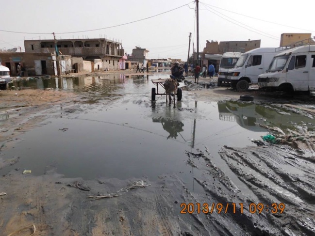 Les mares contraignent des habitants des quartiers d’El Mina et de Sebkha à opter pour l’exode collectif