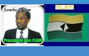 Retour de Samba Thiam et ses lieutenants : Quel rôle pour les FLAMS en Mauritanie ?