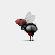 A qui le tour ? Après l'APP, Lo Gourmo à l’oeuvre ; la colique nerveuse contre la CENI crève les yeux…