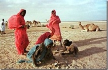 Rapport accablant sur l’esclavage : Silence officiel à Nouakchott !