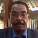 Qui fait quoi ? Voilà Abdallahi Diarra directeur de la communication de la CENI…