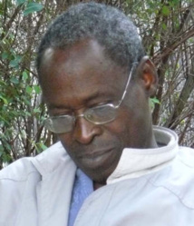 Petite polémique sur l’origine du mot « capaato » (maure) Petite polémique sur l’origine du mot « capaato » (maure)