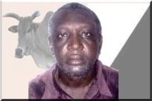 Présidentielle en Mauritanie: des candidats sont « victimes de discrimination financière »