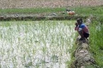 Gorgol : Expropriation des terres des paysans Gorgol : Expropriation des terres des paysans