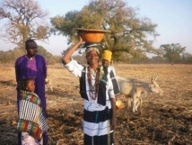 Stéréotypes et imaginaires sociaux en milieu haalpulaar (1) Stéréotypes et imaginaires sociaux en milieu haalpulaar (1)