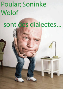 Pour le linguiste Dr Mohamed Ould Cheikh : le poular, le soninké et le wolof sont des dialectes…