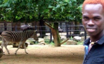Oumar Maal, le fils de Baba Maal, décède à Bruxelles Oumar Maal, le fils de Baba Maal, décède à Bruxelles