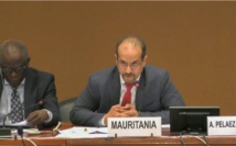 Communiqué de presse - Commissariat aux Droits de l’Homme Communiqué de presse - Commissariat aux Droits de l’Homme