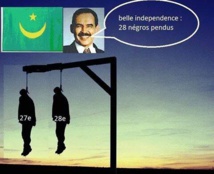 Rajo Fonndu Yeewti Pulaagu: "Le Debat Politique ", une émission spéciale ce vendredi 28 Novembre 2014.
