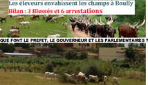 Alerte à Boully : La gestion chaotique du Préfet du département crée une tension guerrière entre les éleveurs et les agriculteurs de la Commune Alerte à Boully : La gestion chaotique du Préfet du département crée une tension guerrière entre les éleveurs et les agriculteurs de la Commune