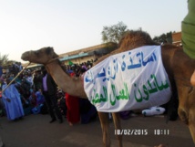 GREVE SNIM ZOUERATE : LES COULEURS ET « TOUCHES PAS A MA CONVICTION», NOUVELLE FORME D’EXPRESSION DES FEMMES !!! ( PHOTOS) GREVE SNIM ZOUERATE : LES COULEURS ET « TOUCHES PAS A MA CONVICTION», NOUVELLE FORME D’EXPRESSION DES FEMMES !!! ( PHOTOS)