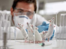 Selon cette anthropologue, les chercheurs mauritaniens étudient leur peuple comme des "rats de laboratoire..." Selon cette anthropologue, les chercheurs mauritaniens étudient leur peuple comme des "rats de laboratoire..."