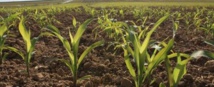 ACCAPAREMENT DES TERRES : UNE SITUATION PRÉOCCUPANTE