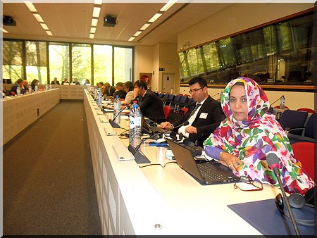 Bruxelles : l’UE et la Ligue arabe félicitent la Mauritanie pour les droits de l'homme et la liberté d’expression (Photo Reportage)