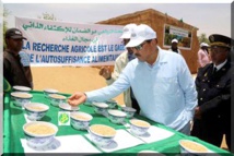 Le président Mohamed Ould Abdel Aziz visite l’Etablissement Aliou Samba N’Diaye (ASN) de Kaédi