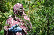 EMANCIPATION DES FEMMES HARRATINES : 5 FEMMES-COURAGE EMANCIPATION DES FEMMES HARRATINES : 5 FEMMES-COURAGE