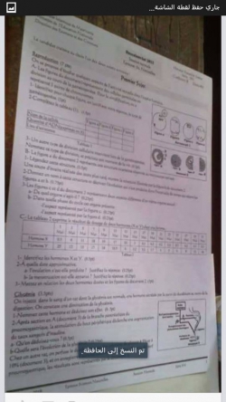 Mauritanie: des candidats au baccalauréat trichent par WhatsApp