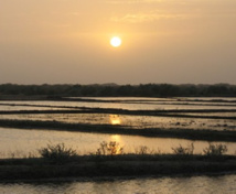 Oumar DIAGNE au "Podium des Bénévoles !" Oumar DIAGNE au "Podium des Bénévoles !"