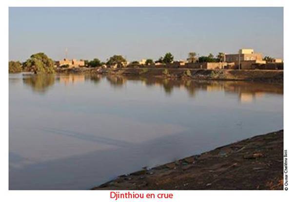 Balade mémorielle aux abords de Djinthiou Balade mémorielle aux abords de Djinthiou