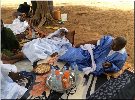 Réconciliation nationale ! Le FNDU pose la première pierre à Dar El Barka (PhotoReportage) Réconciliation nationale ! Le FNDU pose la première pierre à Dar El Barka (PhotoReportage)