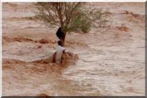 Urgent : 70 maisons effondrées à Sinthiane Diama et 13 autres à Tèkinguel (commune de Darel Barka)