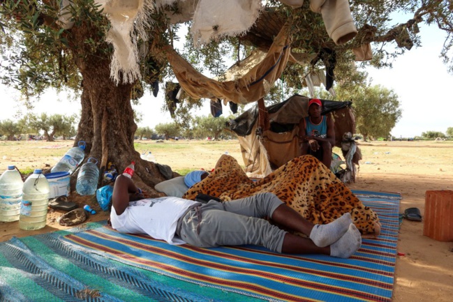 "Si vous êtes noir, ce n'est plus possible de vivre ici" : en Tunisie, ces migrants qui ont changé de plan de vie face au racisme "Si vous êtes noir, ce n'est plus possible de vivre ici" : en Tunisie, ces migrants qui ont changé de plan de vie face au racisme