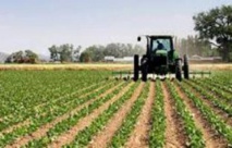 La Mauritanie et l'Egypte vont exploiter un périmètre agricole dans le sud mauritanien La Mauritanie et l'Egypte vont exploiter un périmètre agricole dans le sud mauritanien