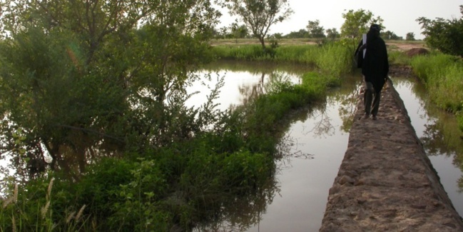 Quatre propriétaires fonciers écroués à la prison d’Aleg Quatre propriétaires fonciers écroués à la prison d’Aleg