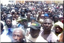 Bruxelles: demande la reconnaissance des Haratines de Mauritanie comme "groupe ethnique à part entière" Bruxelles: demande la reconnaissance des Haratines de Mauritanie comme "groupe ethnique à part entière"