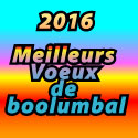MEILLEURS VOEUX 2016 ! UNE ANNÉE SE TERMINE, UNE NOUVELLE COMMENCE MEILLEURS VOEUX 2016 ! UNE ANNÉE SE TERMINE, UNE NOUVELLE COMMENCE