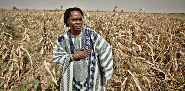 Baaba Maal, le retour d'une icône de la world Baaba Maal, le retour d'une icône de la world