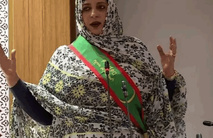 Une députée : « l’entrée de migrants illégaux mineurs dans le pays a propagé la mendicité à grande échelle » Une députée : « l’entrée de migrants illégaux mineurs dans le pays a propagé la mendicité à grande échelle »