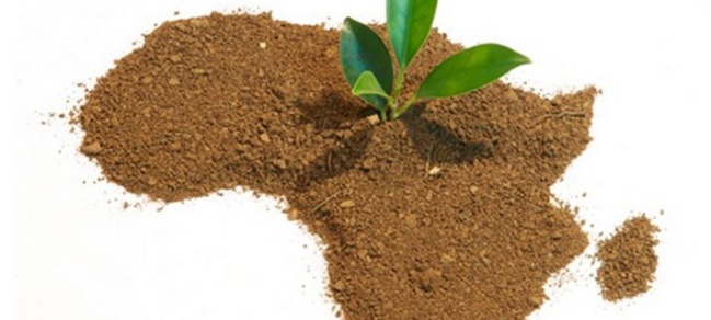 Quand L’Afrique Passera-T-Elle Au Vert? Quand L’Afrique Passera-T-Elle Au Vert?