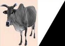 Dialogue national : l’AJD/MR refuse de participer à un processus jugé opaque Dialogue national : l’AJD/MR refuse de participer à un processus jugé opaque